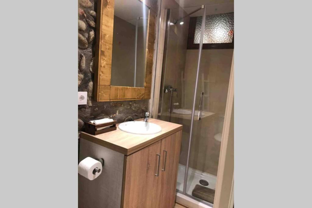 Puigcerda Centro. Acogedor Apartament En El Pueblo Εξωτερικό φωτογραφία